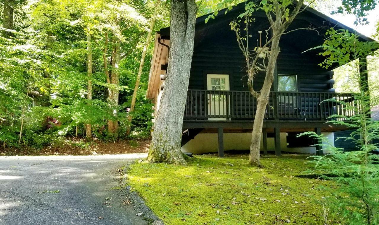Tanglewood Motel And Log Cabins Maggie Valley Luaran gambar